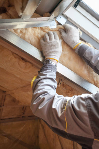 Best Insulation Air Sealing  in Temple Terrace, FL